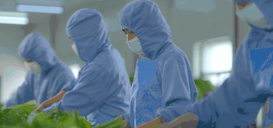 每日萊水餃工廠